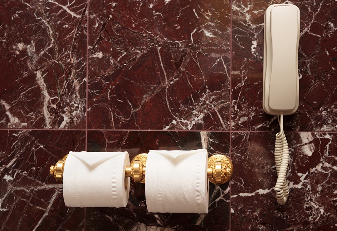 Toilet paper and telephone in a restroom